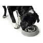 Hunter Heim | Garten > Haustier > Nahrung Futternapf für Hunde Hunter Melamine 900 ml