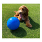 Company of Animals Heim | Garten > Haustier > Spielzeug Hundespielzeug Company of Animals Boomer Blau (100mm)