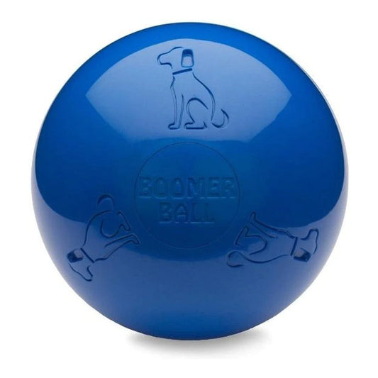 Company of Animals Heim | Garten > Haustier > Spielzeug Hundespielzeug Company of Animals Boomer Blau (250mm)