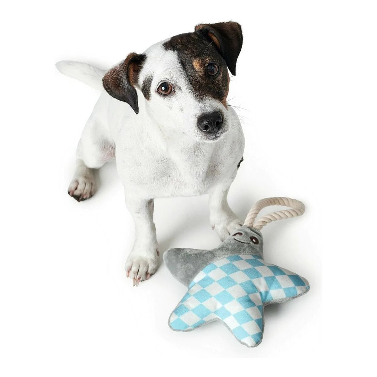 Hunter Heim | Garten > Haustier > Spielzeug Beißring für Hunde Hunter Salima Mit Seil Seestern Grau Welpen