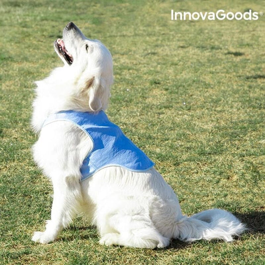 InnovaGoods Heim | Garten > Haustier > Gesundheit und Hygiene InnovaGoods Kühlweste für Große Hunde - L