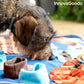 InnovaGoods Heim | Garten > Haustier > Körbchen und Matratzen Spielmatte mit Belohnungen für Haustiere Foofield InnovaGoods