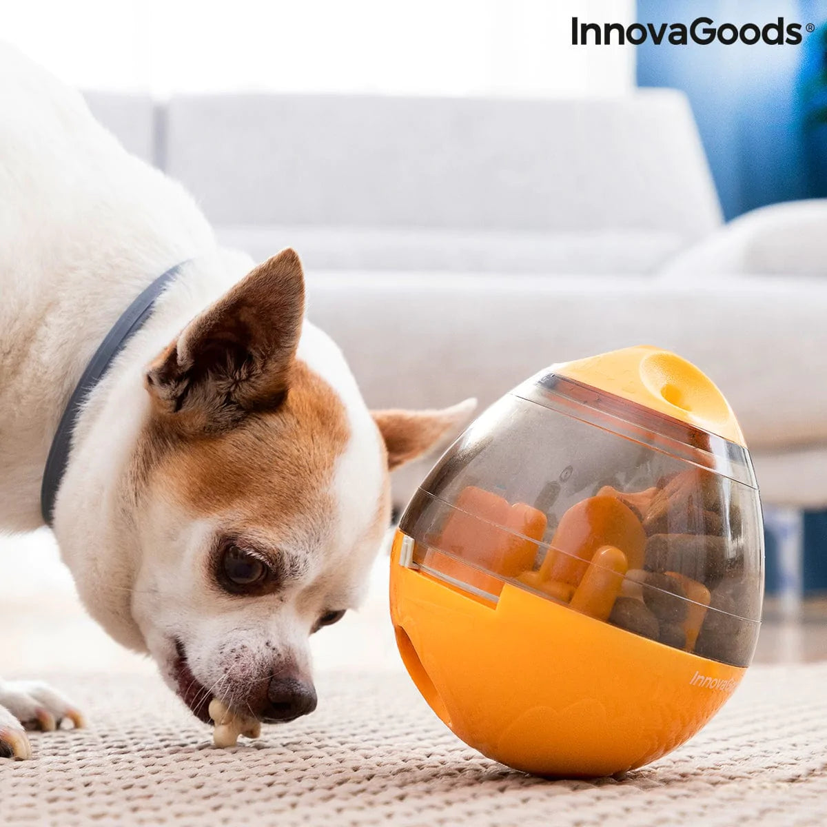 InnovaGoods Heim | Garten > Haustier > Spielzeug 2 in 1 Haustier-Leckerli-Spender Spielzeug Petyt InnovaGoods