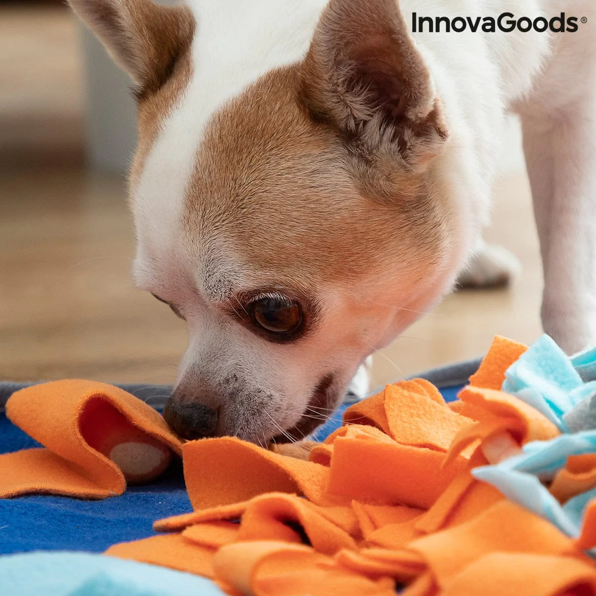 InnovaGoods Heim | Garten > Haustier > Spielzeug Schnüffelteppich für Haustiere Fooland InnovaGoods